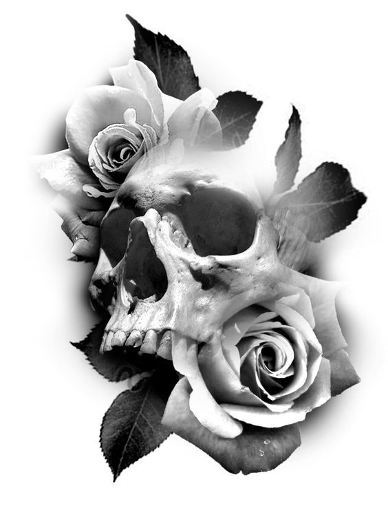 a black and white photo of a rose with a skull on it's side