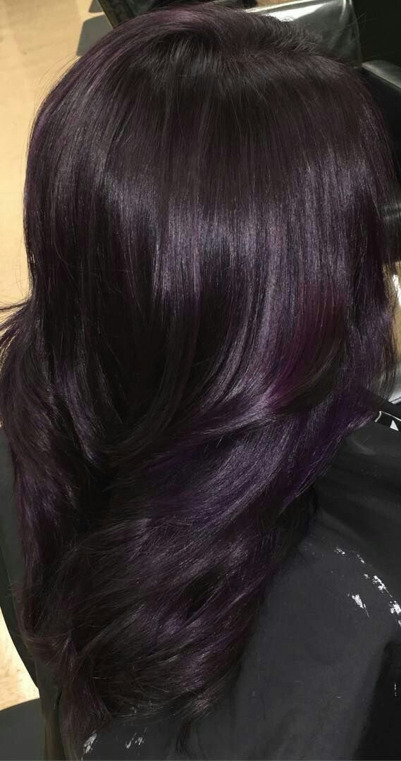 Purple Hair Highlights On Brown Hair, Black Plum Hair Color, Dyed Hair For Brown Skin, Black Hair With Purple Tint, Purple Hair Colour Ideas, Plum Black Hair, Purple Hair Colour, Plum Highlights, Dark Plum Hair