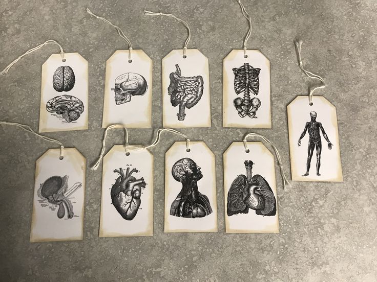 six tags with drawings of human body and heart on them, hanging from twine