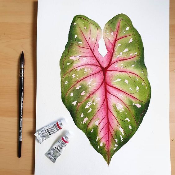 a drawing of a heart shaped leaf with white dots on it and two markers next to it