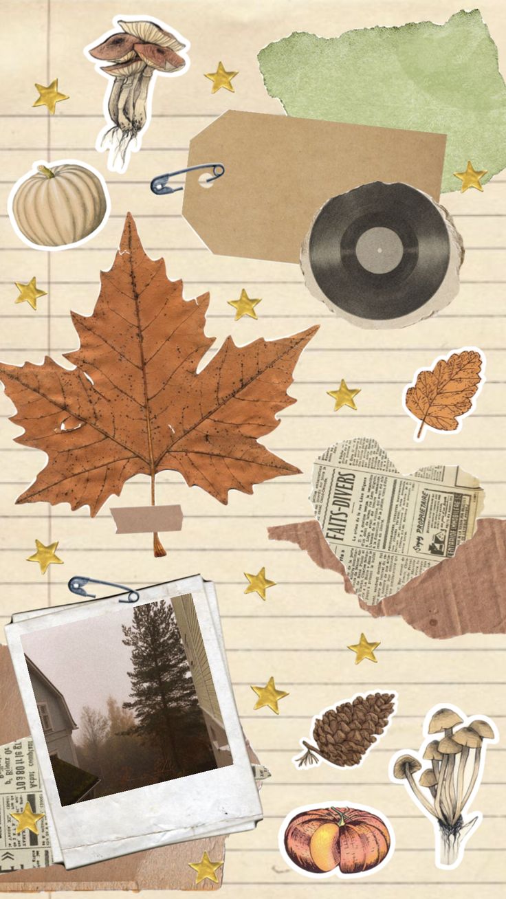 an image of autumn leaves and other things on lined paper with scissors, pencils, tape, etc