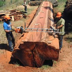 two men are working on a large piece of wood