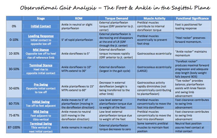 Review of the stages of Gait at the Hip, Knee, and Ankle: Physical Therapy Assistant Student, Gait Analysis, Shoulder Surgery Recovery, Genu Varum, Pt School, Gait Training, Gait Cycle, Physical Therapy School, Physical Therapy Student