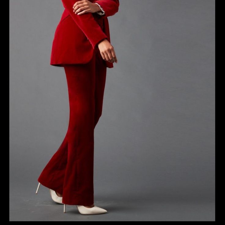 Elite Tahari Red Velvet Pants Style: Leena Pant Color: Redwood Never Been Worn Formal Red Wide-leg Pants, Burgundy Wide Leg Pants For Party, Red Wide-leg Bottoms For Formal Occasions, Formal Red Wide Leg Bottoms, Chic Burgundy Pants For Party, Burgundy Fitted Pants For Parties, Fitted Burgundy Pants For Party, Chic Burgundy Party Pants, Red Elegant Formal Dress Pants