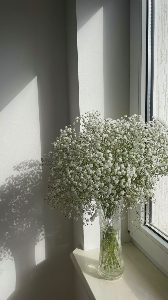 a vase filled with white flowers sitting on top of a window sill