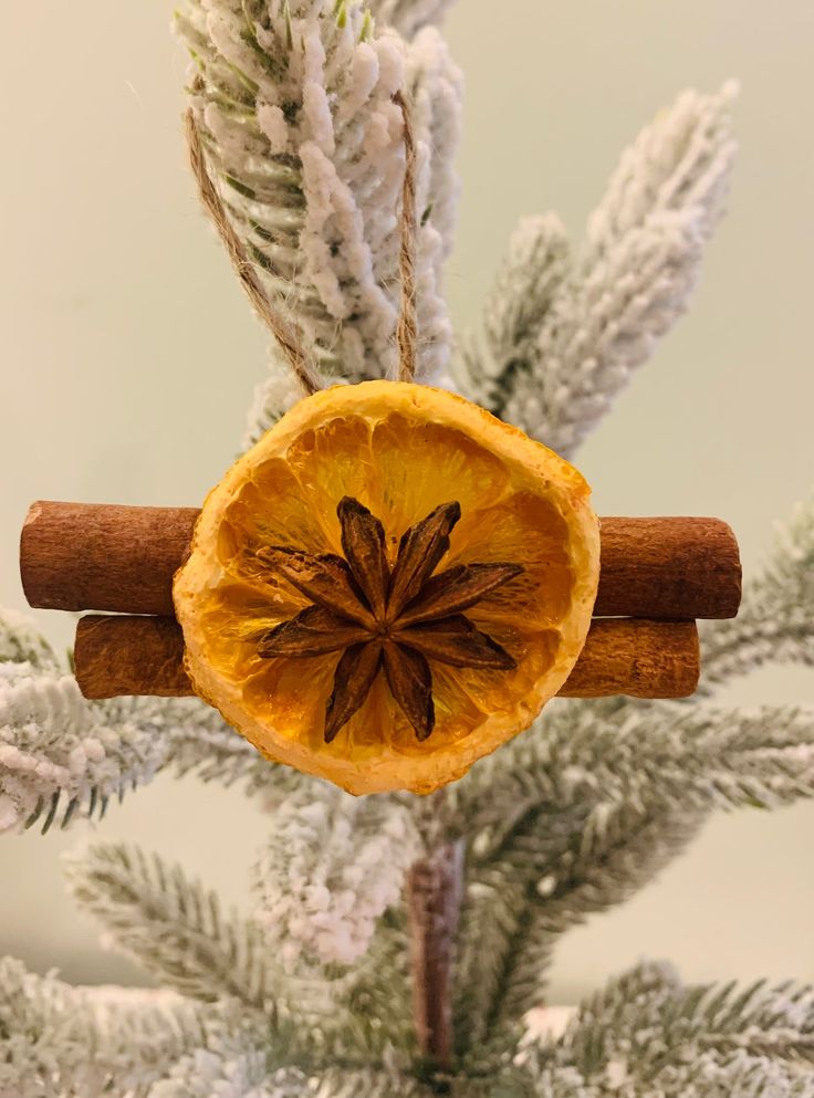 an ornament hanging from a christmas tree decorated with cinnamon and star anisette