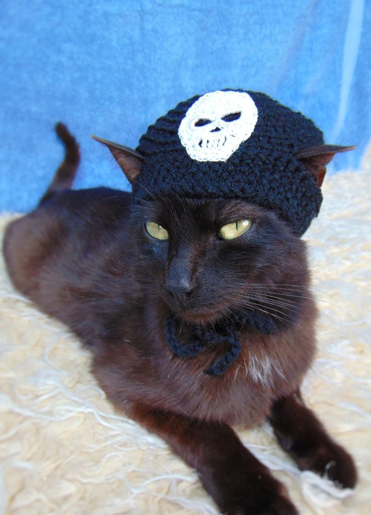 a cat wearing a knitted hat with a skull on it's head and eyes