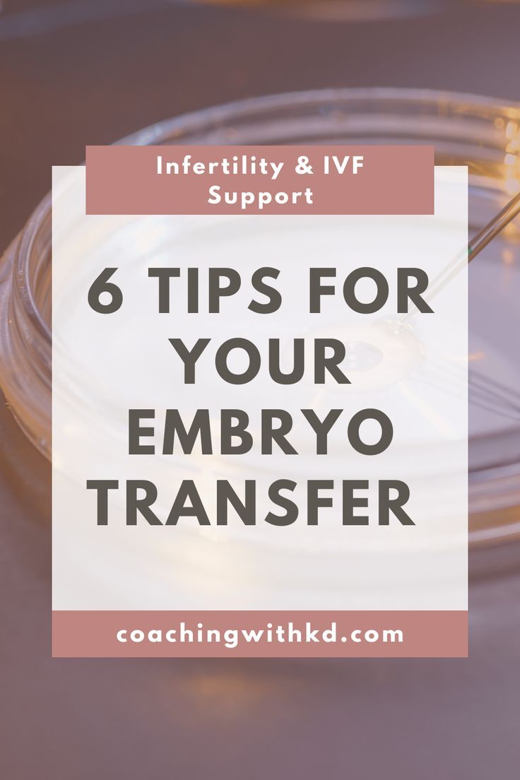 a plate with food on it and the words 6 tips for your embro transferer