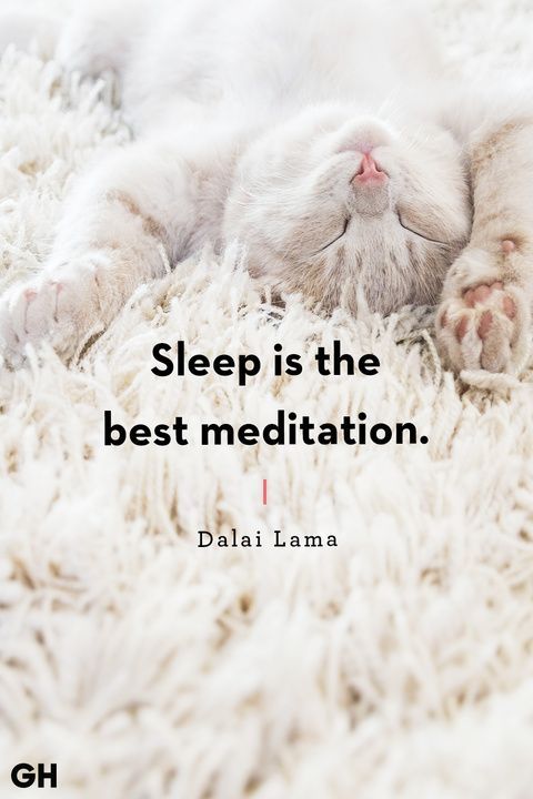 a cat laying on top of a white rug with a quote about sleep is the best meditation