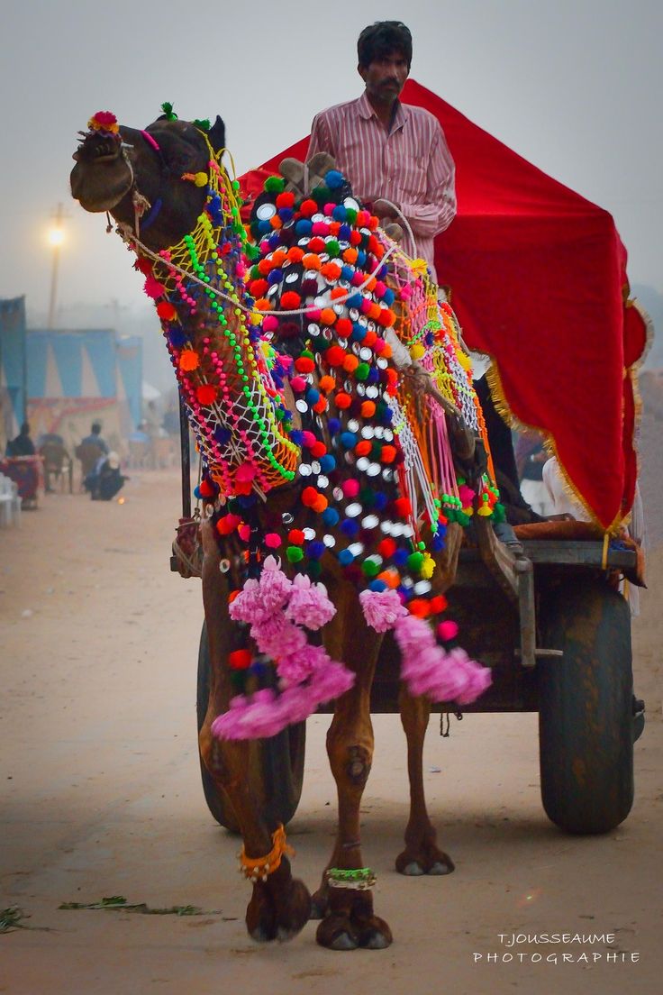 a man riding on the back of a decorated horse