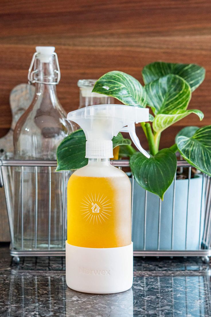 a bottle of orange vinegar sitting on top of a counter next to a potted plant