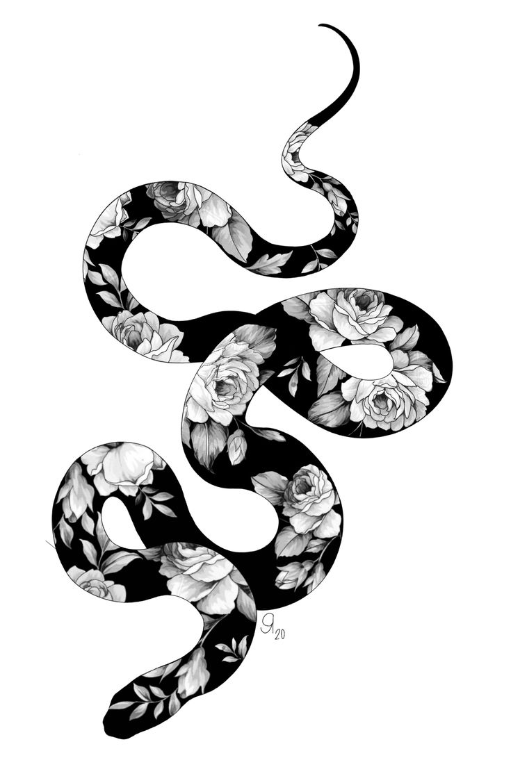 a black and white snake with roses on it