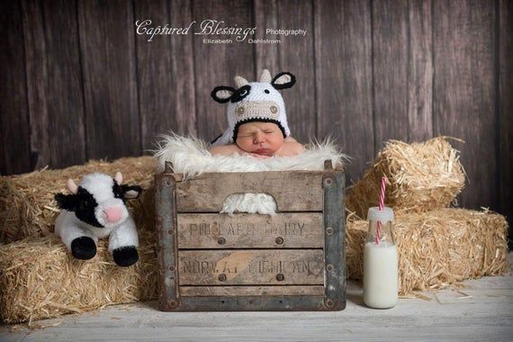 a baby is laying in a crate with two cows