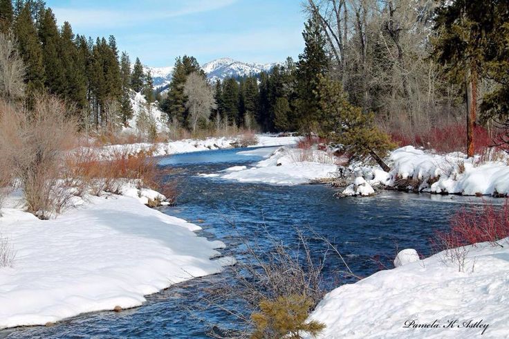 a river running through a snow covered forest