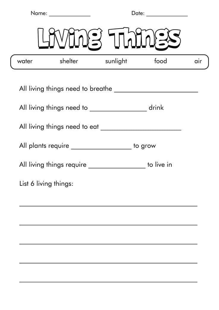 living things worksheet for kids with pictures on the front and back pages,