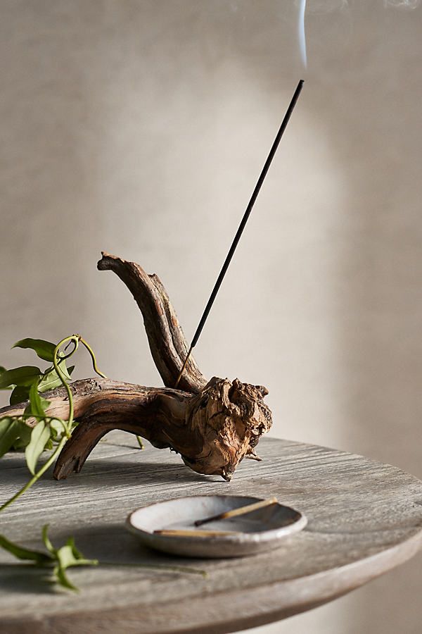 a piece of driftwood with a stick sticking out of it sitting on a table