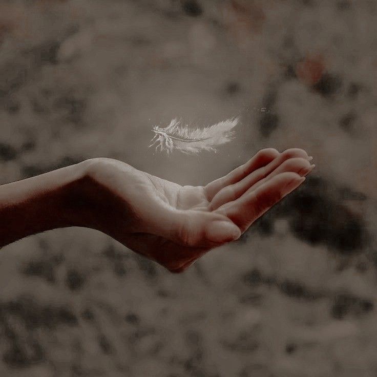 a person holding out their hand with a small white feather floating in it