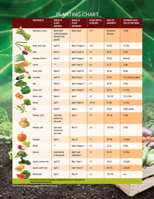 a table with vegetables on it and the words planting chart in front of it