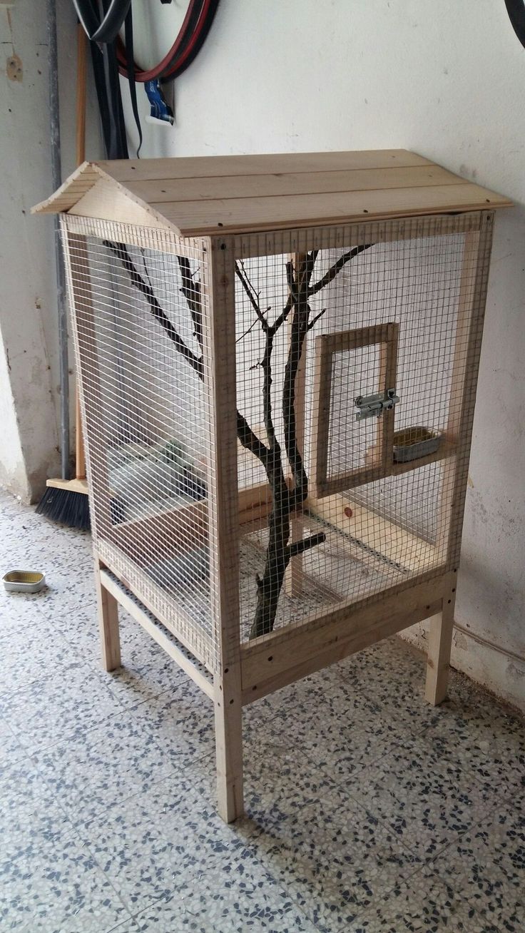 a small bird cage with a tree inside