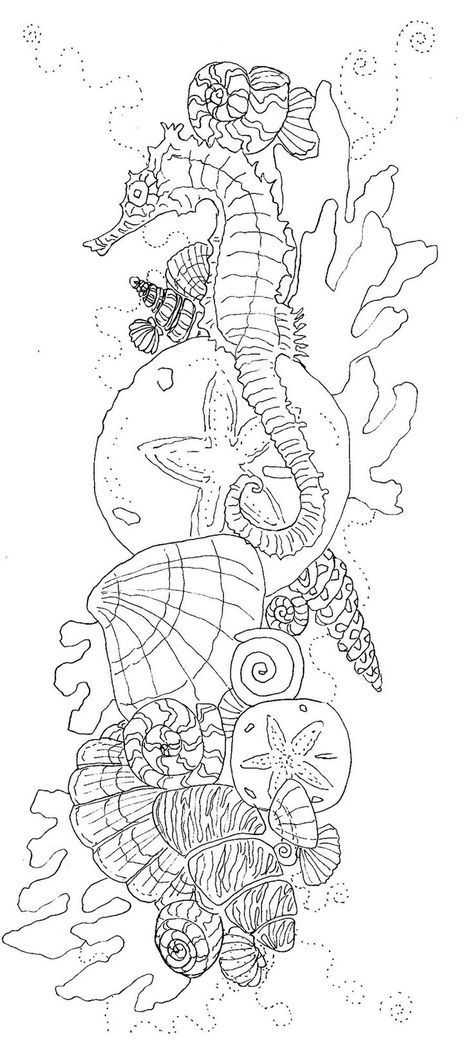 a line drawing of an octopus and seahorse on the bottom of a pile of shells