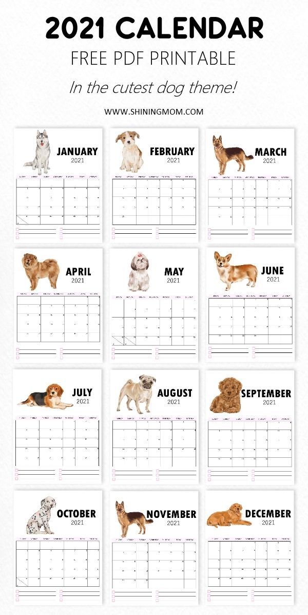 a calendar with dogs on it for the year 2011 and 2012, including four different breeds