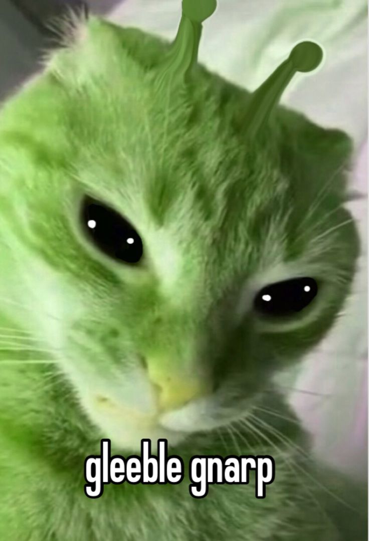 a green cat with black eyes and the caption, gleeble garp