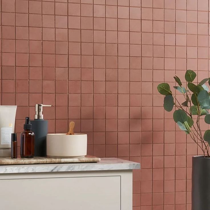 a bathroom counter with soap, toothbrushes and a potted plant