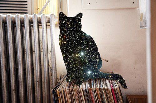 a black cat sitting on top of a stack of records next to a radiator