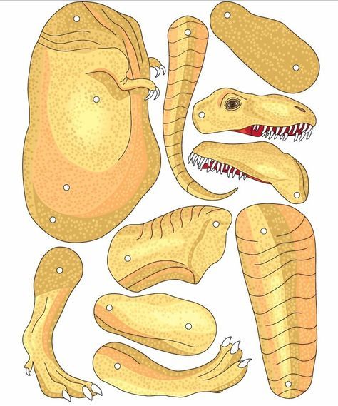 an image of different types of dinosaur teeth and claws on a white background with clippings