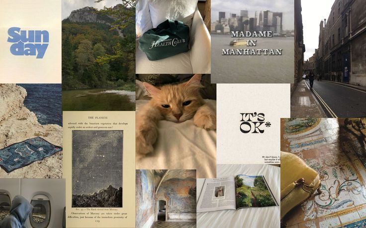 there are many different pictures in this collage that include cats, books, and other things