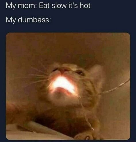 a cat that is looking up at the light coming from its mouth, with caption saying my mom eat slow it's hot my dumbbass