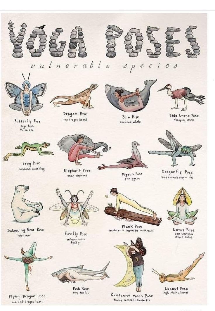 an old poster with many different types of animals