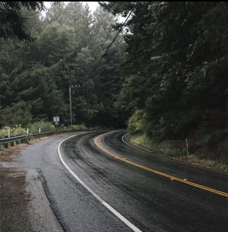 an empty road surrounded by trees in the rain