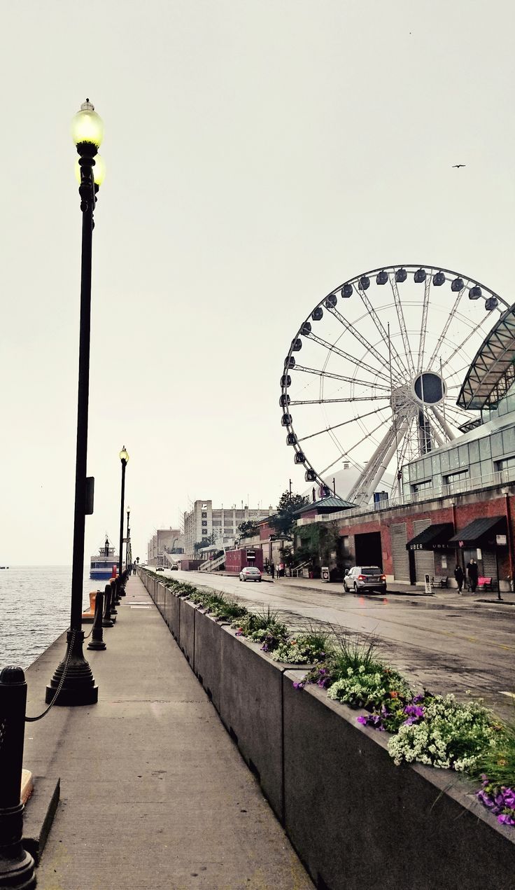 a ferris wheel sitting on top of a pier next to the ocean with flowers growing in front of it