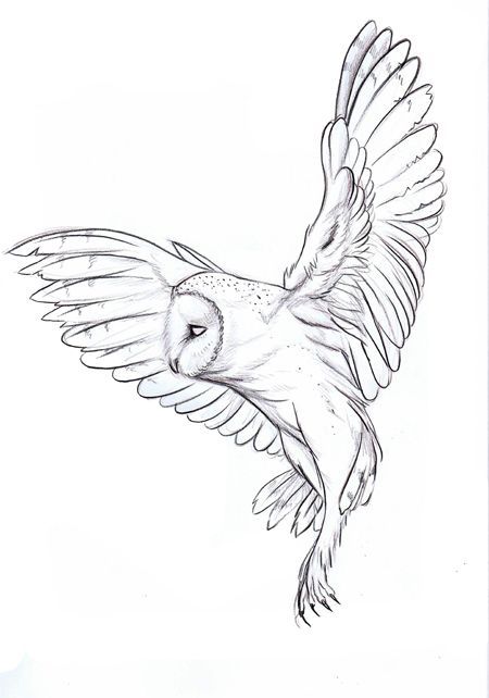 an owl is flying in the air with its wings spread