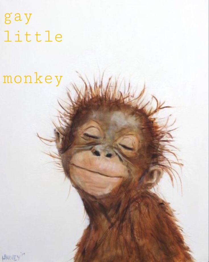 a monkey with its eyes closed and hair blowing in the wind, on a white background