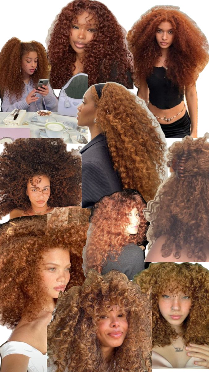 Natural Ginger Hair Color, Healthy Dyed Hair, Curly Hair Color, Cabello Afro Natural, Dyed Curly Hair, Natural Curly Hair Cuts, Highlights Curly Hair, Y2k Hair, Lace Fronts