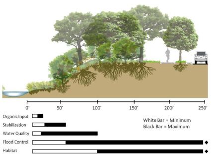 a bar graph shows the number of trees that have been planted on land in different areas