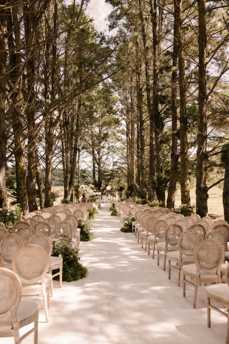 rows of chairs are lined up in the middle of an outdoor ceremony area with trees lining both sides