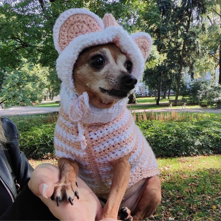 a small dog wearing a knitted sweater and hat sitting on someone's lap