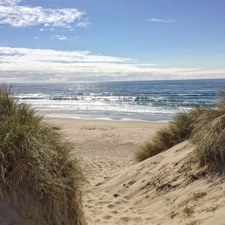 a sandy beach with grass growing out of the sand