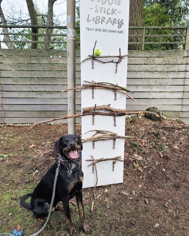 a dog sitting next to a sign with sticks on it