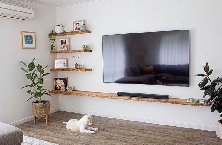 a white dog laying on the floor in front of a flat screen tv mounted on a wall