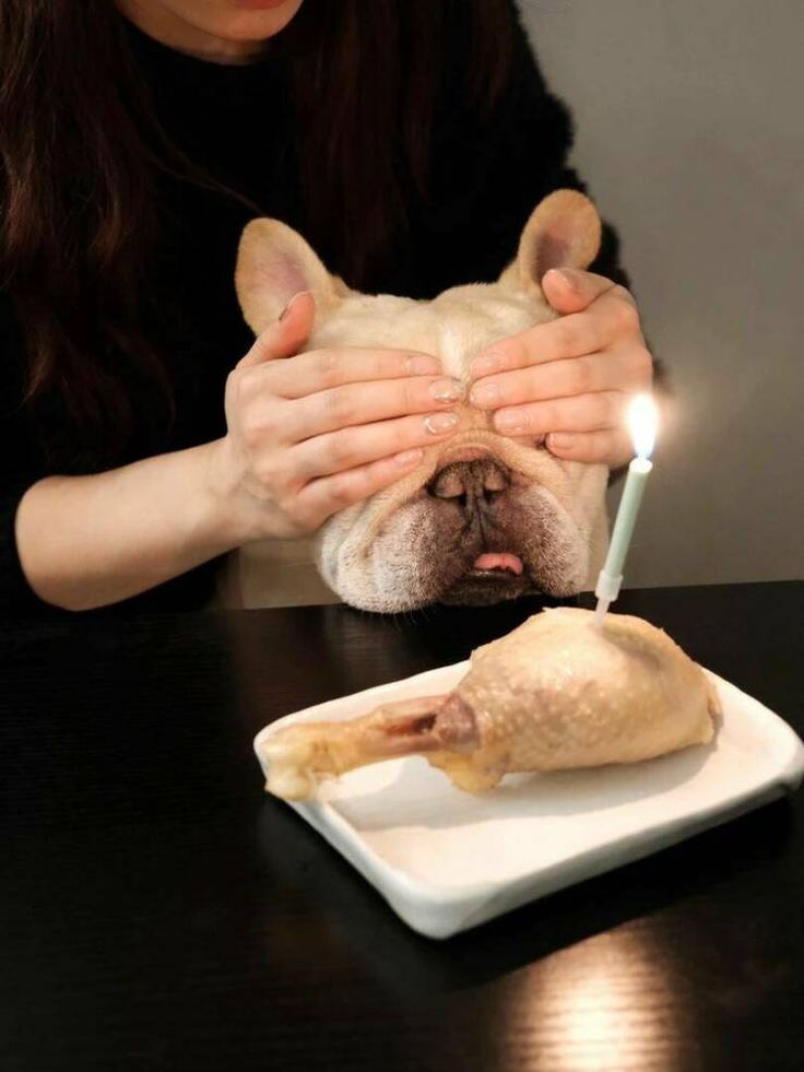 a woman lighting a candle on her dog's head while sitting at a table