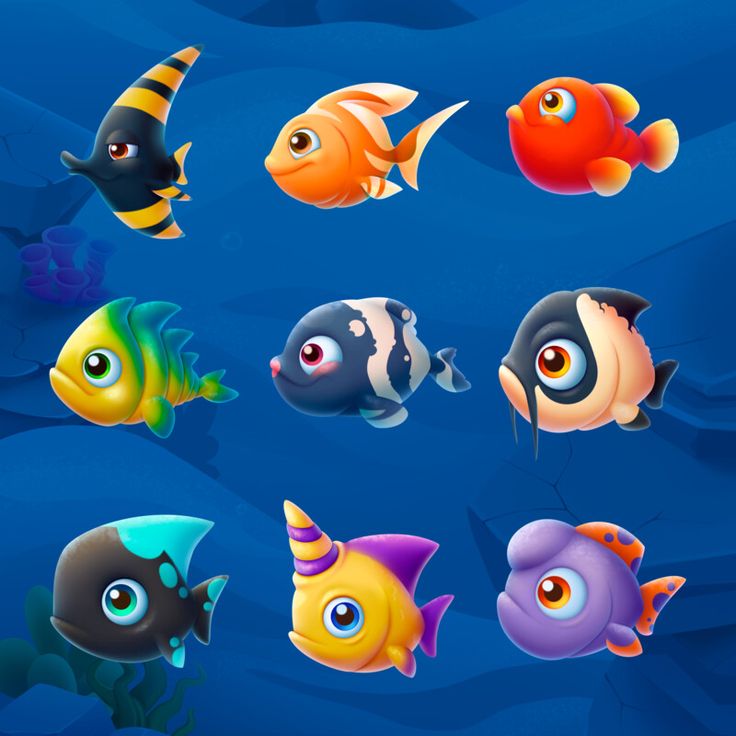 a group of different colored fish swimming in the ocean