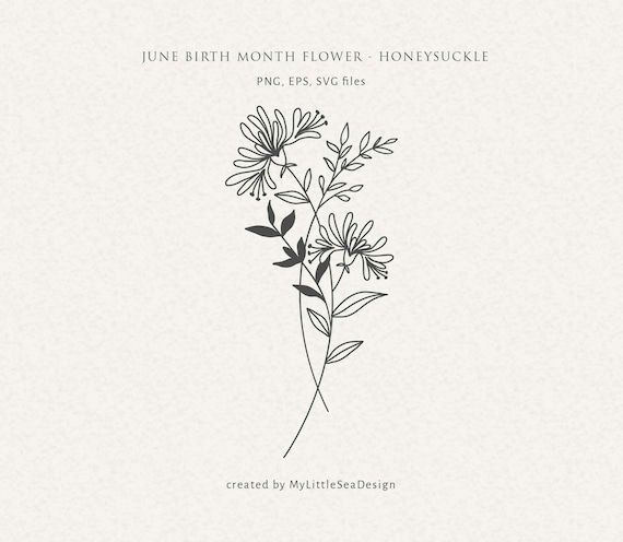 the cover art for june birth month flower - honeysuck