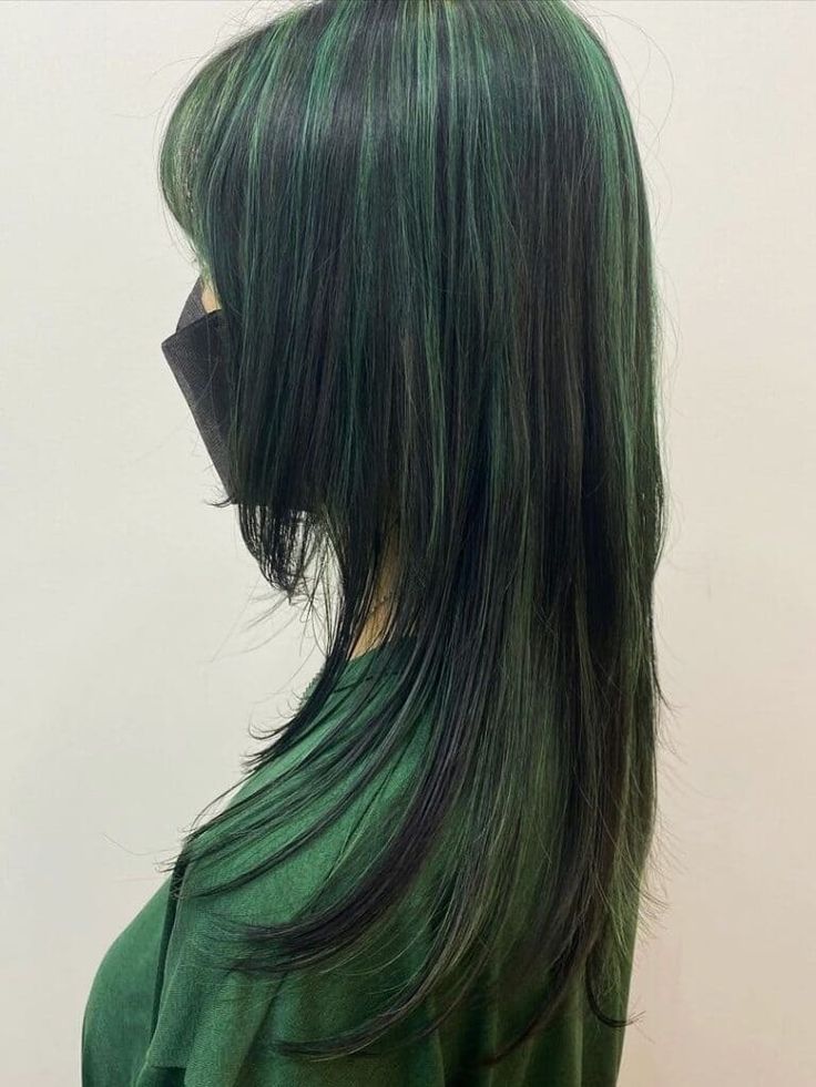 black hair with green highlights Black With Dark Green Highlights, Black Hair Coloured Streaks, Black With Green Highlights Hair, Green And Black Chunky Highlights, Green Hair With Black Highlights, Colored Hair With Black, Black Hair Dyed Tips, Black And Green Hair Aesthetic, Blue And Green Highlights In Black Hair