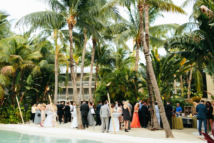 a group of people standing on top of a beach next to palm trees and water