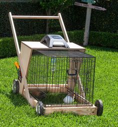 a caged animal sits in the grass near a street sign and telephone pole on wheels