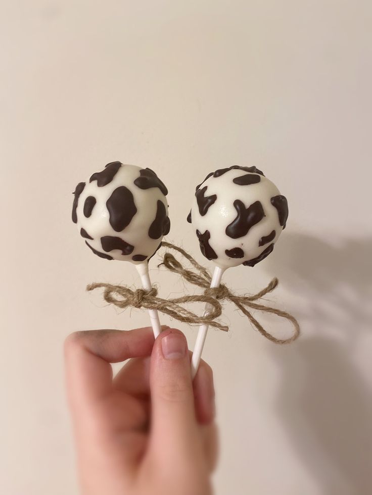 two chocolate covered lollipops with white frosting and black dots on them